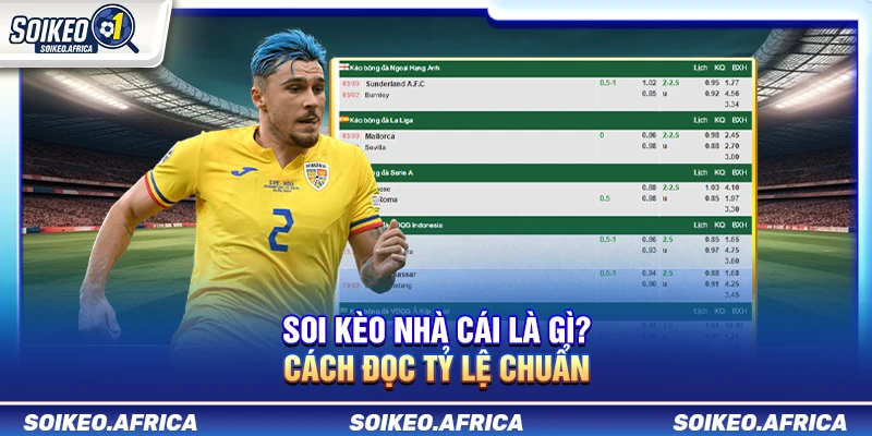 Soi Kèo Nhà Cái Là Gì? Cách Đọc Handicap, Odds & Tài Xỉu Soi Kèo Nhà Cái Là Gì? Cách Đọc Tỷ Lệ Chuẩn