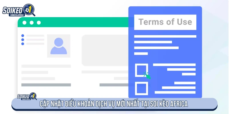 Điều khoản sử dụng website và các nguyên tắc cần lưu ý