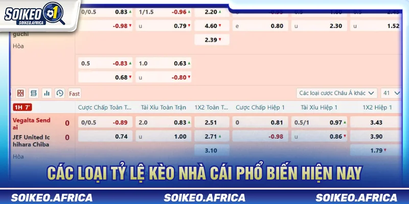 Tỷ Lệ Kèo Nhà Cái: Handicap, 1X2, Tài Xỉu & Odds Các loại tỷ lệ kèo nhà cái phổ biến