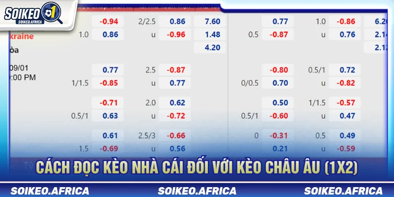 Cách Đọc Kèo Nhà Cái: Châu Á, 1X2 & Tài Xỉu Dễ Hiểu Cách đọc kèo châu Âu 1X2