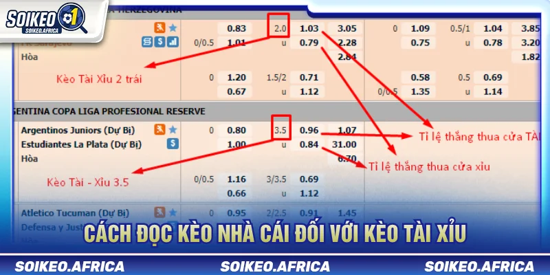 Cách Đọc Kèo Nhà Cái: Châu Á, 1X2 & Tài Xỉu Dễ Hiểu Cách đọc tài xỉu bóng đá